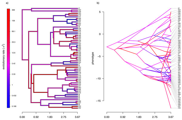 (A) Simulated evolutionary rates, σ2, in which the logarithm of the rate of evolution is uncorrelated between nodes and tips on the phylogeny; (B) the tree projected into a space defined by time (on the horizontal axis) and a simulated trait vector, x, obtained using the rates of panel (A).