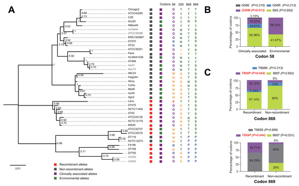 Phylogenetic relationships among SidJ proteins of L. pneumophila from different sources, and with different mutation profiles at positive selection sites.