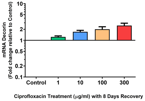 mRNA expression of decorin in equine derived tendon explant cultures after 96 h treatment with 1, 10, 100 & 300 µg/mL CPX followed by 8 days in control conditions.
