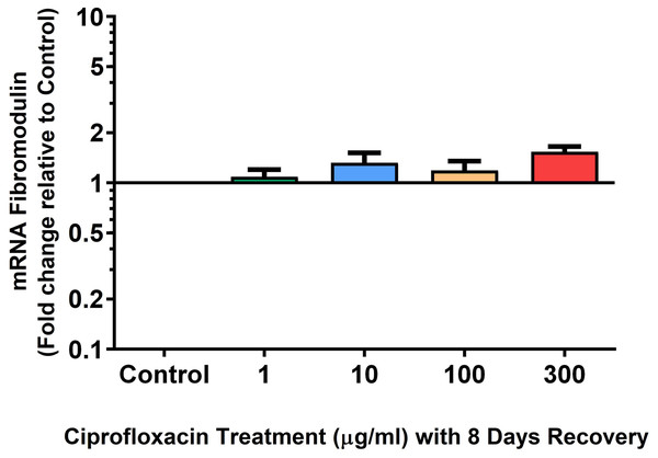 mRNA expression of biglycan in equine derived tendon explant cultures after 96 h treatment with 1, 10, 100 & 300 µg/mL CPX followed by 8 days in control conditions.