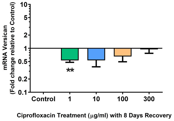 mRNA expression of versican in equine derived tendon explant cultures after 96 h treatment with 1, 10, 100 & 300 µg/mL CPX followed by 8 days in control conditions.
