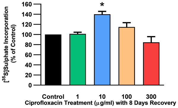 35S-sulphate incorporation in equine derived tendon explants cultures after 96 h treatment with 1, 10, 100 or 300 µg/mL CPX and subsequent 8-day recovery period.