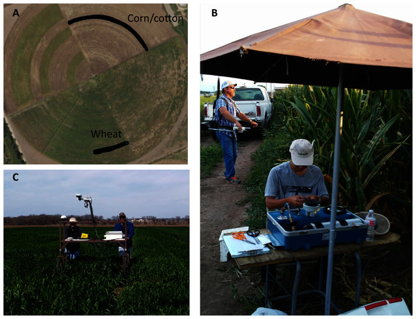 Ground-based phenotyping tools as used in field conditions.