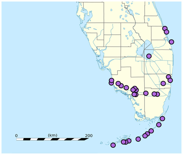 Locations at which herons were observed in southern Florida, USA.
