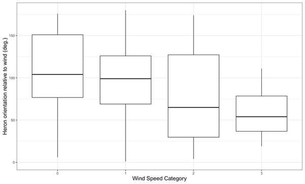 Box plot of heron orientation with respect to the bearing of the wind by wind speed category (0 = calm or ∼0 m/s; 1 = leaves rustle or ∼5 m/s; 2 = branches sway or ∼10 m/s; 3 = trees sway or ∼15 m/s).