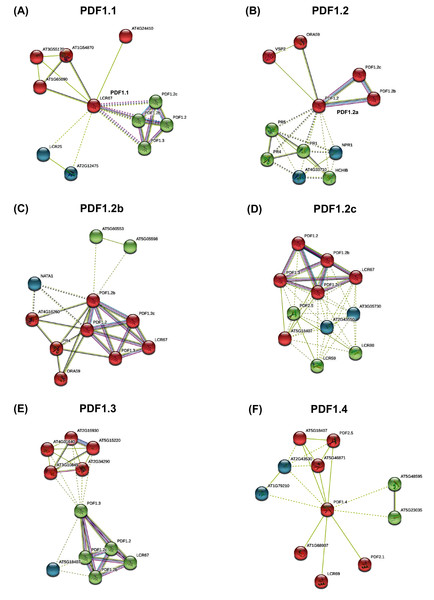 The protein-protein interaction network of plant defensins.