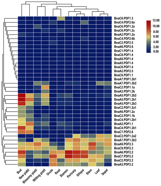 Summarization of tissue/organ specificity expression of PDFs in Brassica napus.