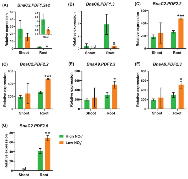 The qRT-PCR-assisted transcriptional characterization of the plant defensins (PDF) genes in Brassica napus under different nitrate (NO3−) supply levels.