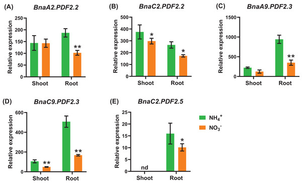 The qRT-PCR-assisted transcriptional characterization of the plant defensins (PDF) in Brassica napus under different nitrogen (N) form conditions.