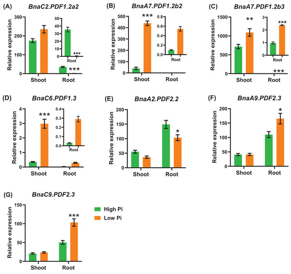 The qRT-PCR-assisted transcriptional characterization of the plant defensins (PDFs) in Brassica napus under different phosphate (Pi) levels.