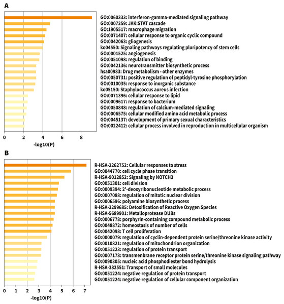 Bar graph of enriched terms across input gene lists, colored by p-values.