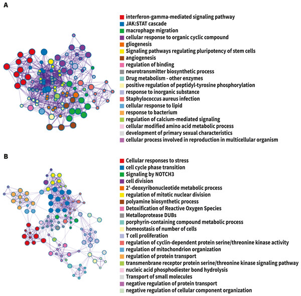  The network of enriched terms colored by cluster-ID.