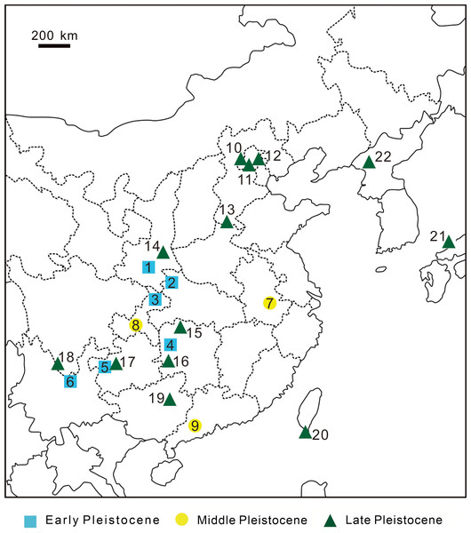 Discovery sites of Pleistocene leopard fossils in East Asia.
