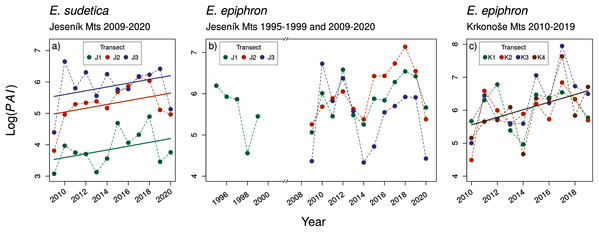 The temporal changes in the abundance index (PAI) of (A) Erebia sudetica and (B–C) E. epiphron. Colours denote individual transects.