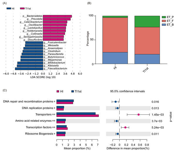 Comparison of biomarkers, enterotypes, and KEGG pathways between Tibetan and Han women.