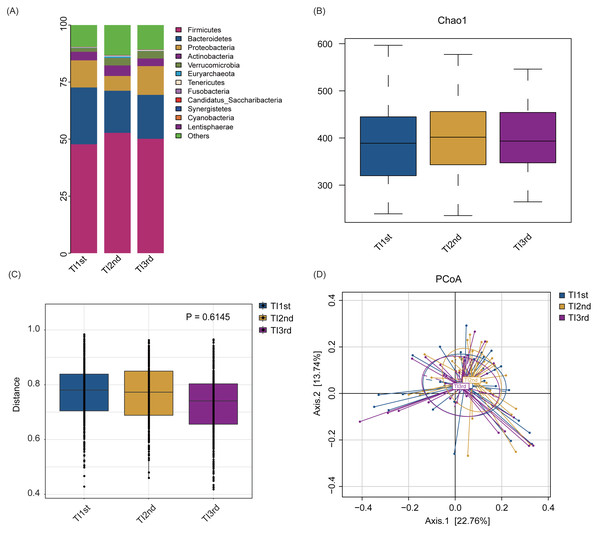 Comparison of alpha and beta diversity of intestinal microbiota among TI1st, TI2nd, and TI3rd groups.