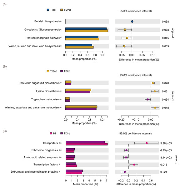 Function prediction of intestinal microbiota among TI1st, TI2nd, and TI3rd groups.