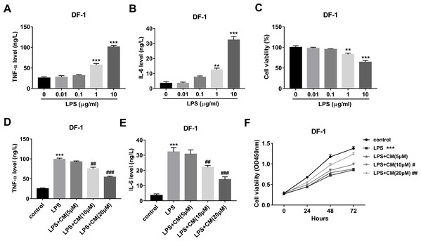 (A-F) CM protected DF-1 chicken embryo fibroblasts from LPS-induced inflammation and cell injury.