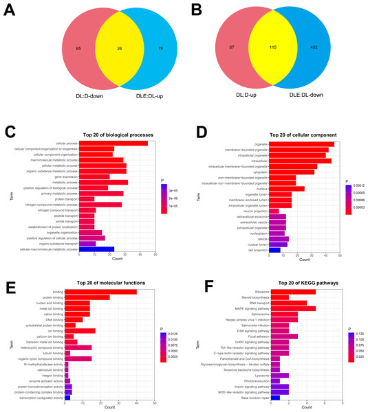 (A-F) Identification of dysregulated proteins in response to LPS stimulation alone or in combination with CM in DF-1 chicken embryo fibroblasts.