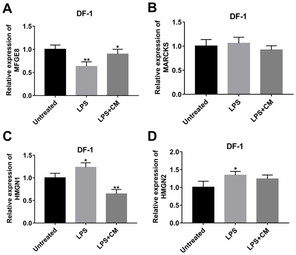 Effects of LPS alone or in combination with CM on the expression of (A) MFGE8, (B) MARCKS, (C) HMGN1, and (D) HMGN2 in DF-1 chicken embryo fibroblasts.