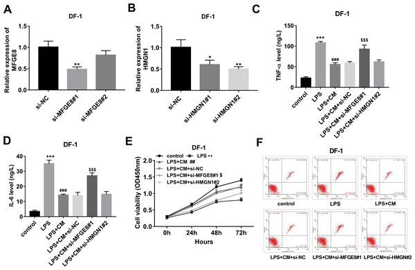 (A-F) CM exerted its anti-inflammatory and pro-survival activities by regulating MFGE8 and HMGN1 expression in LPS-treated DF-1 chicken embryo fibroblasts.
