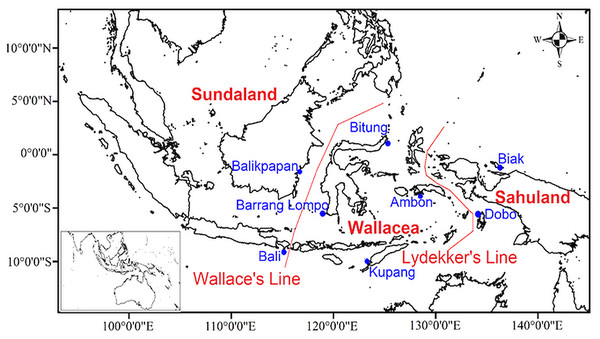 Map of sampling locations in eight sites of the Indonesian archipelago showing Wallace’s and Lydekker’s lines.