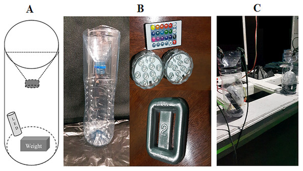 The light traps used in this study.