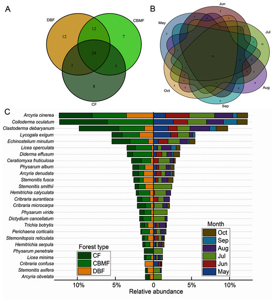 Venn diagrams of the myxomycete communities of (A) three forest types and (B) six sampling months and (C) the bidirectional bar chart of species distribution with relative abundance >1%.