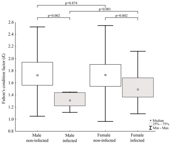Evaluation of Fulton’s condition factor (K) for mink in Iceland using Mann–Whitney U test.