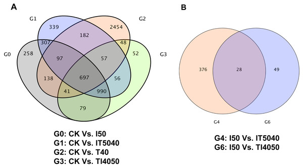 Venn plot of DEGs associated with high temperature and insecticide exposure.