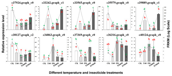 Validation of transcriptome data by RT-qPCR. Histograms indicate relative expression levels of 10 genes by RT-qPCR, and linegraphs indicate expression levels obtained from transcriptome data.