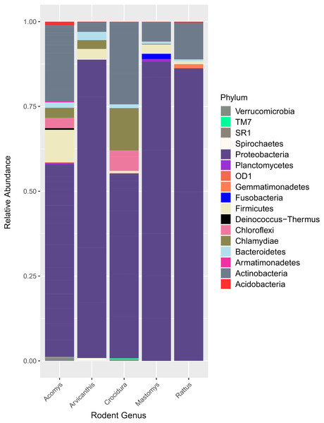 Bar plot showing bacteria phyla in the spleen samples from small animals.