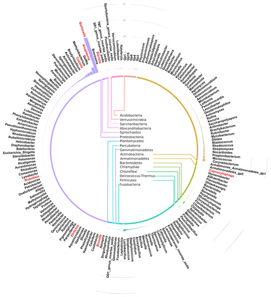 Circular bar plot showing taxonomic assignment for the 182 OTUs in the spleen samples from small animals.