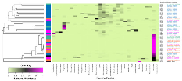 Heatmap depicting the differential abundance of microbial taxa among the samples.