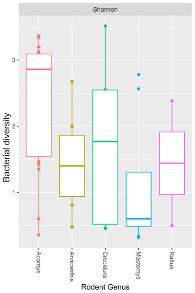 Boxplot showing median bacterial diversity across the small mammal genera as measured by Shannon diversity index.