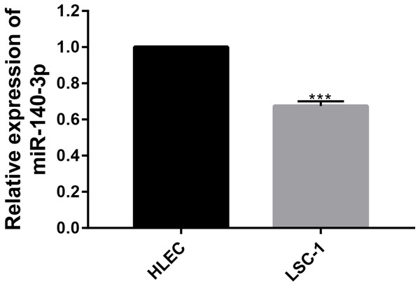 The expression of miR-140-3p in HLECs and LSC-1 cells was measured using the QRT- PCR assay.