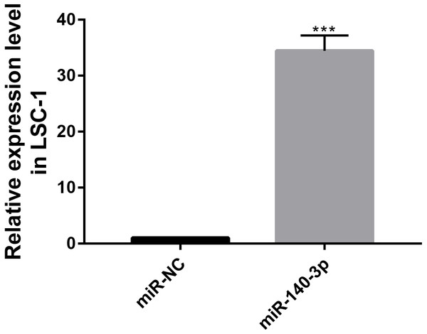 MiR-140-3p and miR-NC were transfected into LSC-1 cells, respectively, and the expression of miR-140-3p was detected by QRT-PCR.