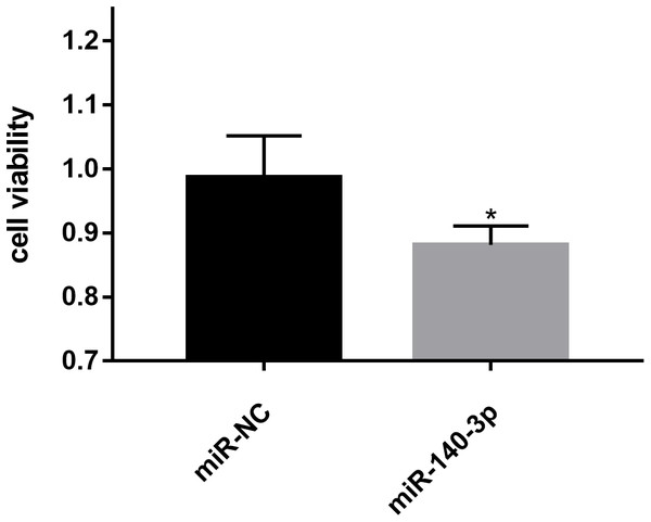 Effects of miR-140-3p on LSC-1 cell proliferation in vitro.