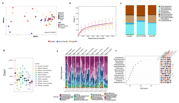 Diversity analyses comparing the three sampling sites: Cerro Gordo, Cataño and Luquillo.