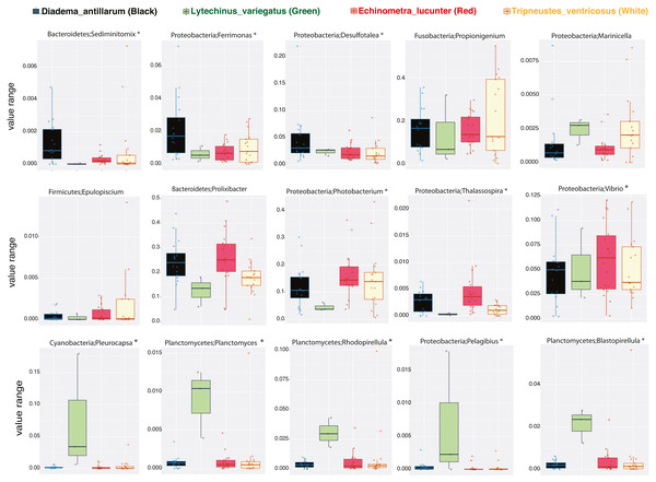 Boxplots of bacterial genus-level analyses (assigned per phylum) that discriminate among the four sea urchin species (p-values < 0.05 marked with an asterisk).