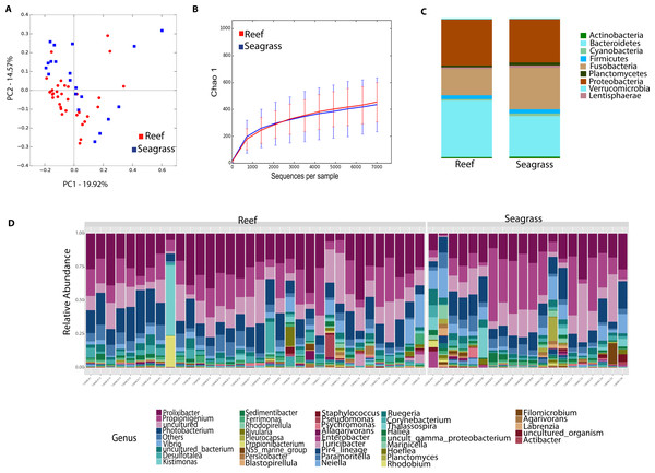 Diversity analyses comparing sea urchin trophic niches (animals collected in the reef or among seagrass).