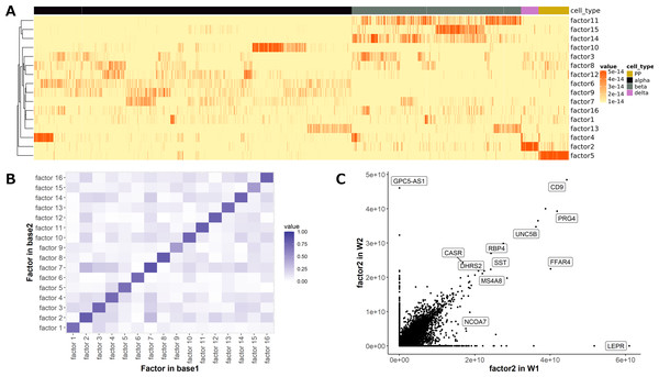 Gene analysis of the Xin dataset using SC-JNMF.