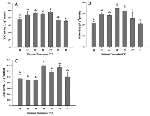 Effect of high temperature stress on antioxidant enzyme activity in 2nd instar larvae of F. occidentalis.