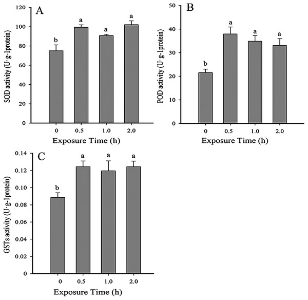 Temporal changes in antioxidant enzyme activity in 2nd instar larvae of F. occidentalis exposed to 35 °C.