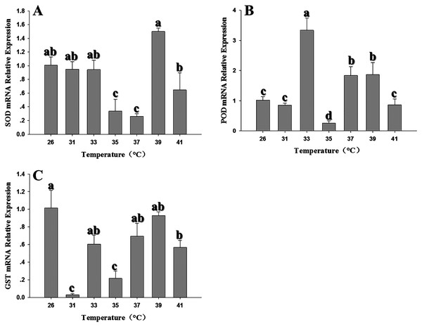 Effect of high temperature stress on expression of antioxidant genes in 2nd instar larvae of F. occidentalis.