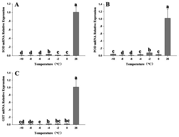 Effect of low temperature stress on expression of antioxidant genes in 2nd instar larvae of F. occidentalis.