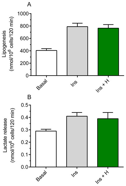 Effects of hemin on lipogenesis (A) and lactate release (B) in the isolated rat adipocytes.