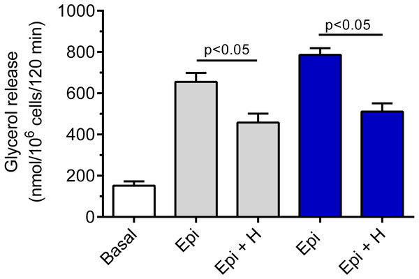 Effects of hemin on epinephrine-induced lipolysis in the isolated rat adipocytes in the presence of 3 or 12 mM glucose.