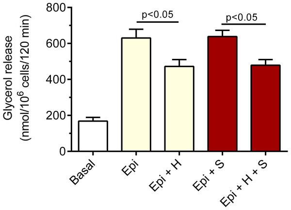 Effects of hemin and SnMP on epinephrine-induced lipolysis in the isolated rat adipocytes in the presence of 3 mM glucose.