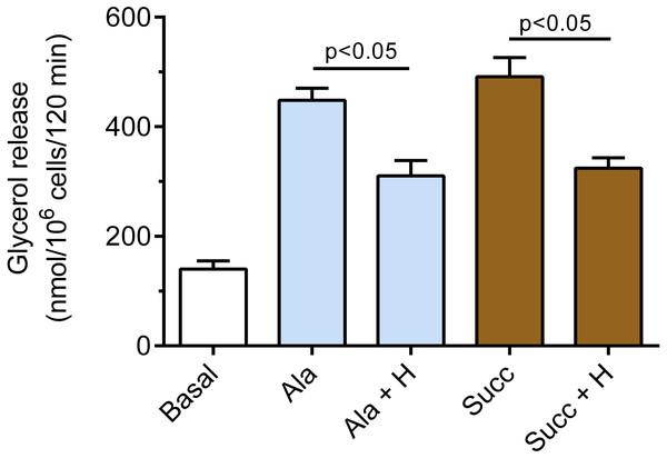 Effects of hemin on epinephrine-induced lipolysis in the isolated rat adipocytes in the presence of alanine or succinate.